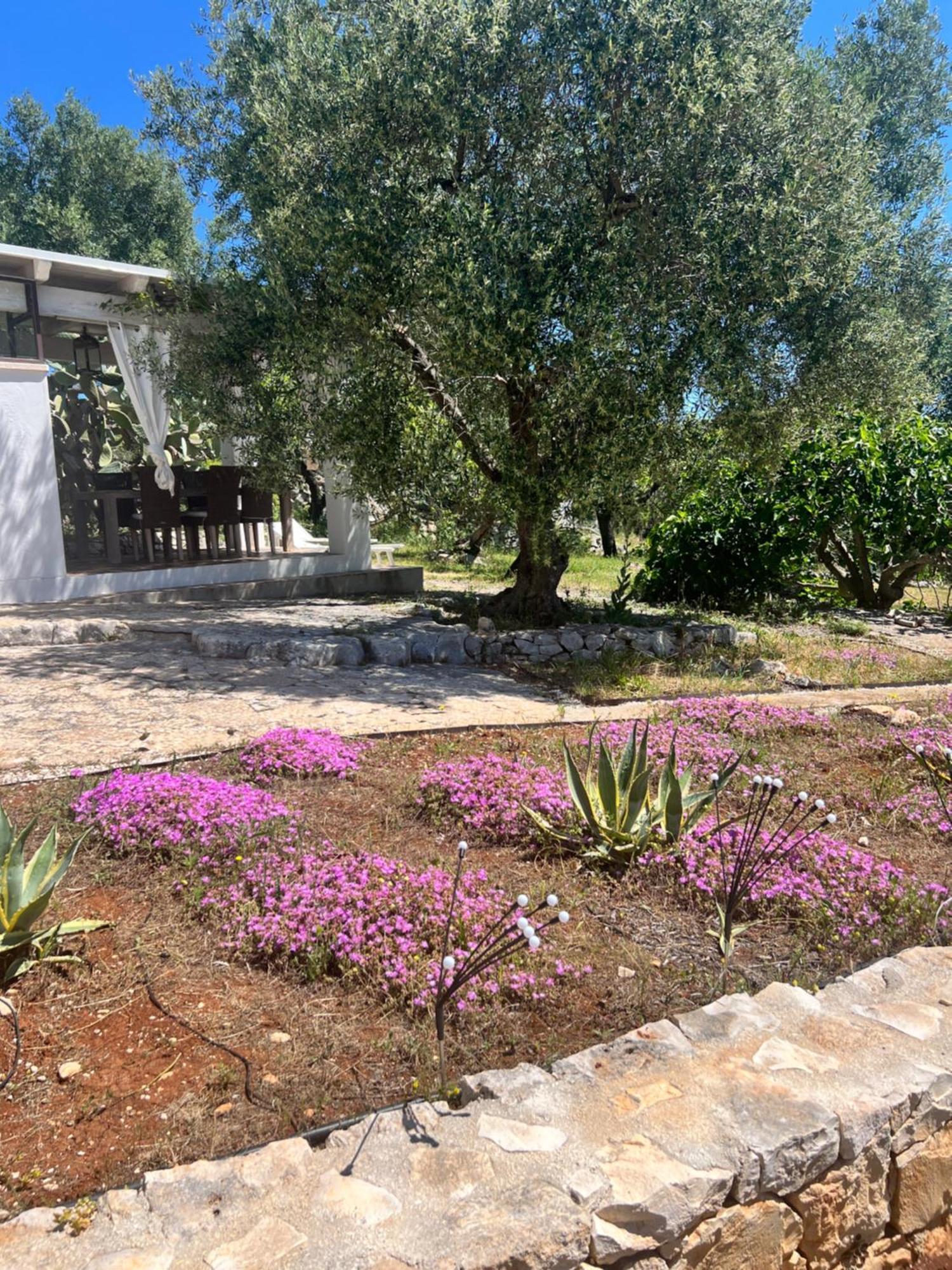 Syconium Trullo And Lamia Gea Charme And History Hotel Остуни Екстериор снимка